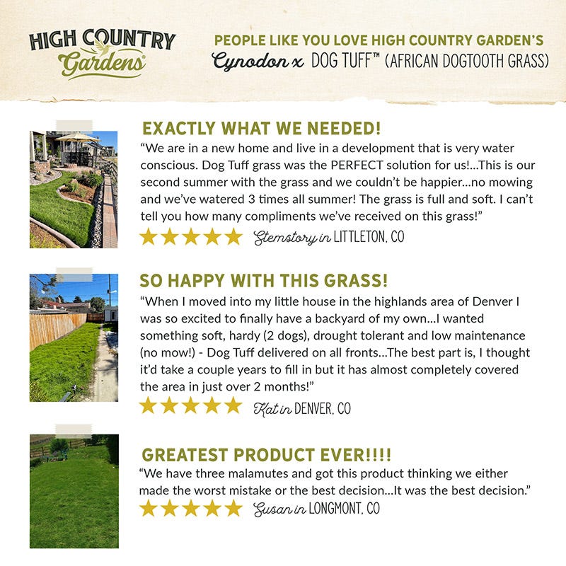 Dog Tuff™ Grass - Image 2