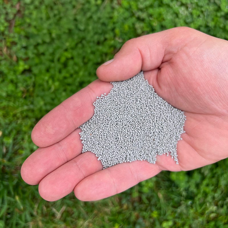 Microclover Seed (Pelleted) - Image 3