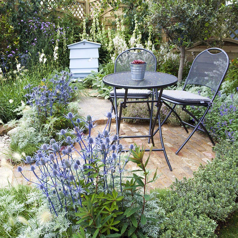 Blue Glitter Sea Holly (Eryngium) - Image 3