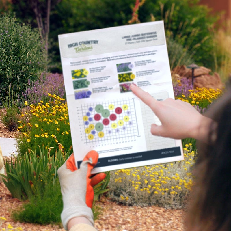 Native Intermountain West Songbird Pre-Planned Garden - Image 3