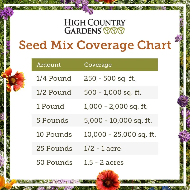 Southwest Wildflower Seed Mix - Image 4